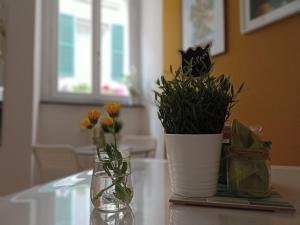 B&B Bel Fiore