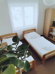 Penzion pod Kostelíčkem