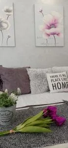 Apartman Harmonija Vrnjačka Banja - Trstenik