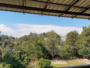 Dear Dino Villa Cameron Highlands