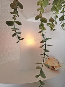 Ferienpark K07-003 Ferienpark