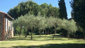 Villa Carmeli 12&2 Emma Villas