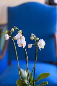 Hotels Grand Hotel d'Espagne : photos des chambres