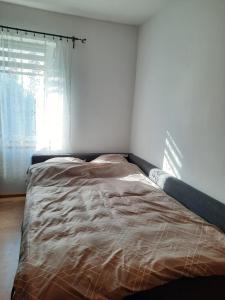 Apart Wilhelmina 75m2