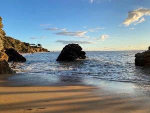 Maisons de vacances Entre terre et mer : photos des chambres