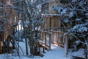 Maisons de vacances Domaine de l'Authentique Cabanes dans les arbres : photos des chambres