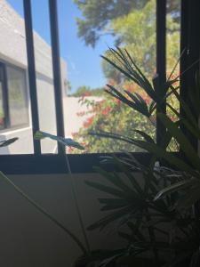 Excelente Loft con terraza verde y ducha