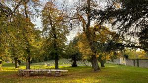 Hotels Chateau de l'Epinay : photos des chambres