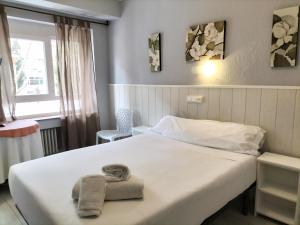 Hostal Albero by gaiarooms