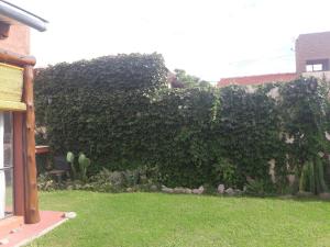 Flor de las Sierras