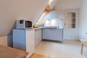 Ryś w Centrum APARTZAKOP