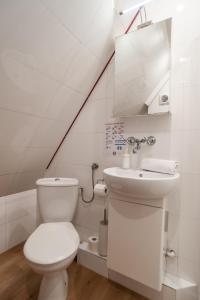 Ryś w Centrum APARTZAKOP
