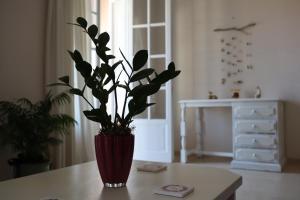 Helena Apartment Argostoli