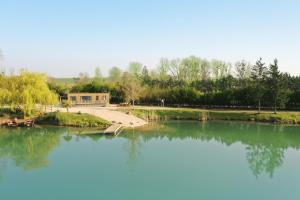 Villages vacances Les Etangs de la Bassee : photos des chambres