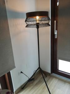 Terra Sinus Beautiful Suite