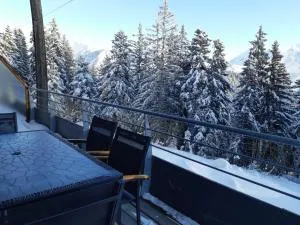 Silènes C11 - Chamrousse 1700 - Les Villages du Bachat - Les Clavaux