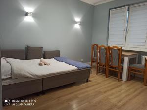 Apartament Arkada Centrum