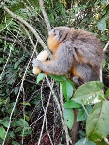 Quarto compartilhado com ar condicionado banheiro externo compartilhado