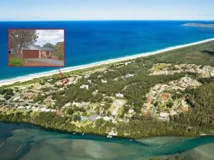 Oystercatcher - Dunbogan