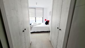 Curitiba VIP Studio 21