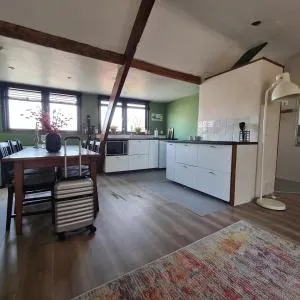 43号公园旅馆 - Velserbroek 