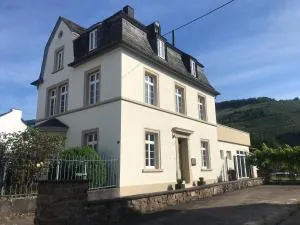 Weinlofts an der Mosel mit E10 Ladestation - Klüsserath