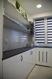 Apartament Wrocław Borowska