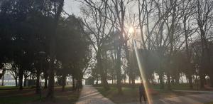 BIENNALE FLAT IN GIARDINI