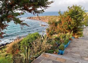Ca' Maraisci, incantevole appartamento vista mare img14
