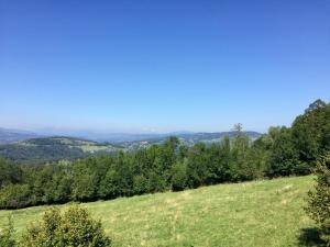 Appartements Studio avec vue montagnes : photos des chambres