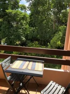 Appartement 2 pièces vue sur la rivière de l'Aven et le Bois d Amour - 阿旺桥