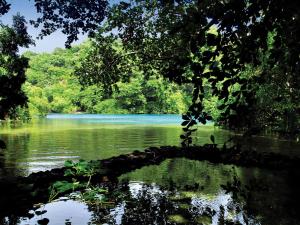 Port Antonio, Jamaica.