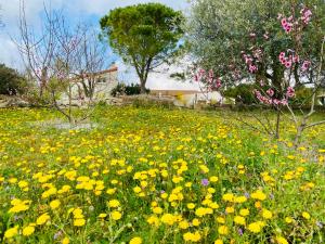 B&B / Chambres d'hotes Mas des Tournevents : photos des chambres