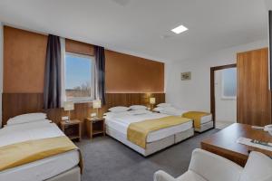 Standard Quadruple Room room in Hotel Marconi