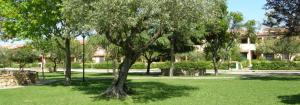 Bilocale al Villaggio degli ulivi SAN TEODORO