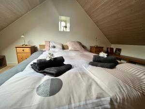 Maisons de vacances PENTY DU BELOU, cozy, en pleine campagne, 5 personnes : photos des chambres