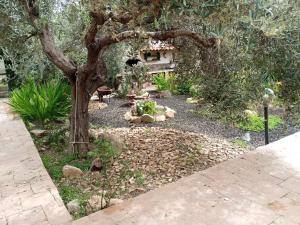Casa vacanze l'ulivo img21