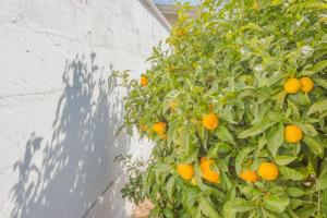 La casa di Valentina