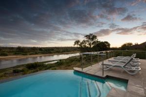 Buffalo Brooke - Mjejane Game Reserve