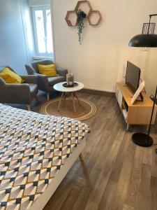 Appartements Joli T1 3* renove mars 2022 proche lac et ville : photos des chambres