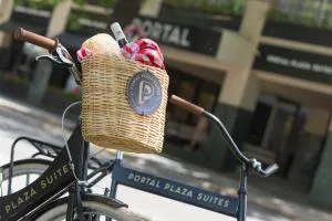 Portal Plaza Suites - Mendoza