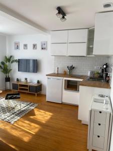Les Rives Saint Symphorien, appartements meubles : photos des chambres