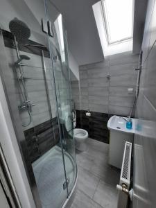 Casa de oaspeti Maximilian