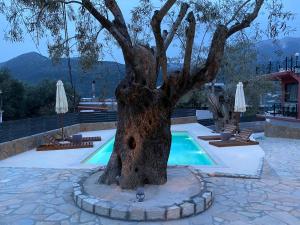 Panoramic lagoon view