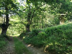 Lodges Les Grangeonnes, gites nature, piscine, sauna pour accueil familiale ou de groupe : photos des chambres