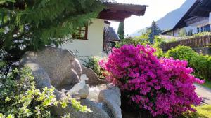 Appartements Villa Fortuna