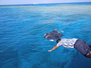 Ocean Way Guraidhoo