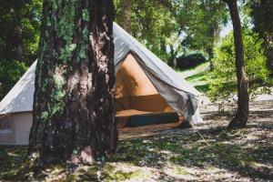 Campings Le repere du pin sec - Glamping & Surfcamp : photos des chambres
