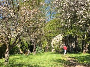 Maisons de vacances Aux Portes du Petit Bois : photos des chambres