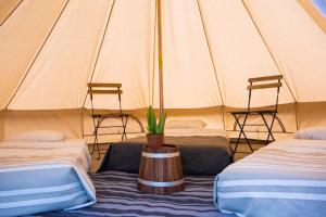 Campings Le repere du pin sec - Glamping & Surfcamp : photos des chambres